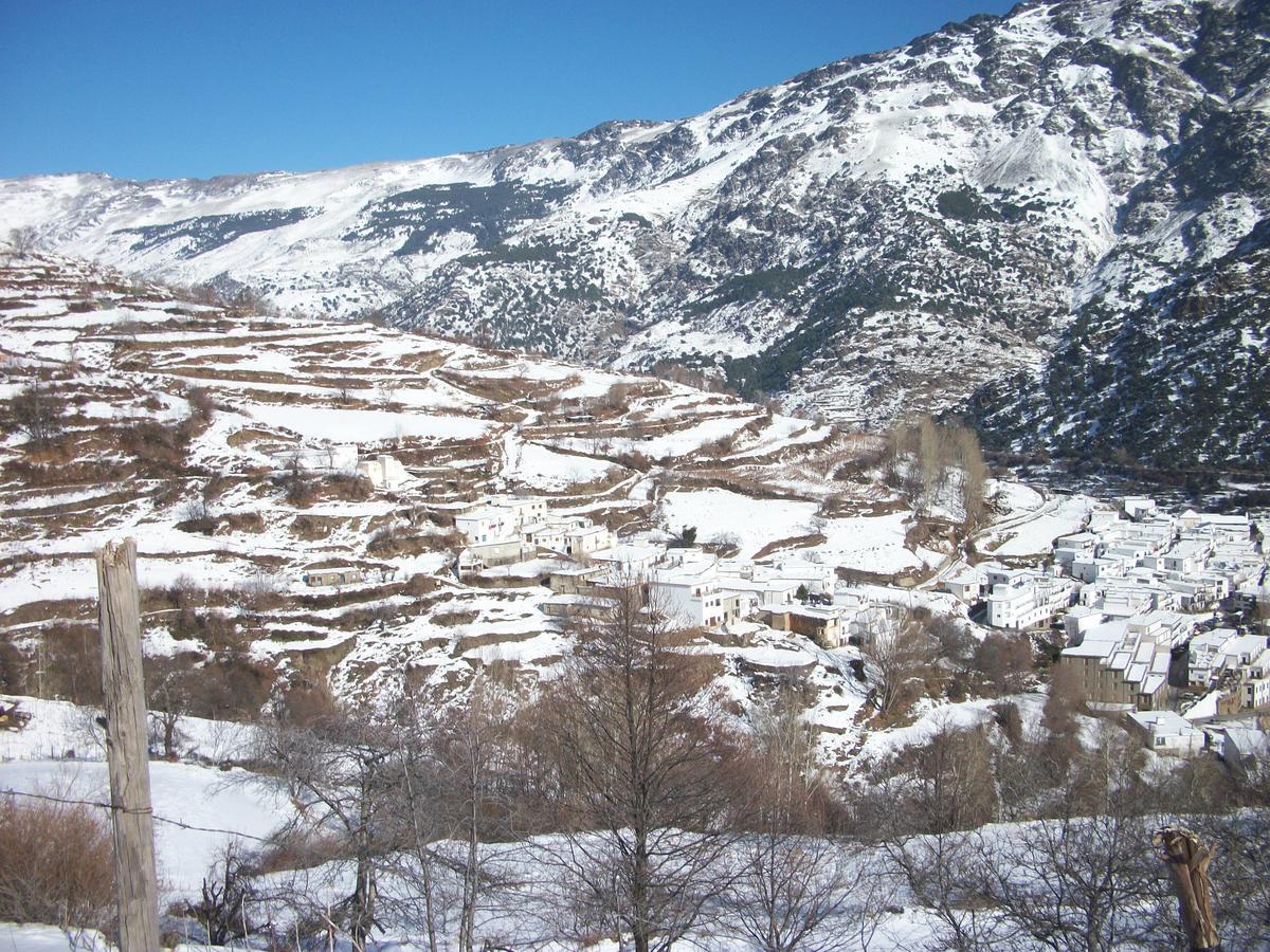 Bed and Breakfast Refugio Alpujarra Alta Тревелес Екстер'єр фото