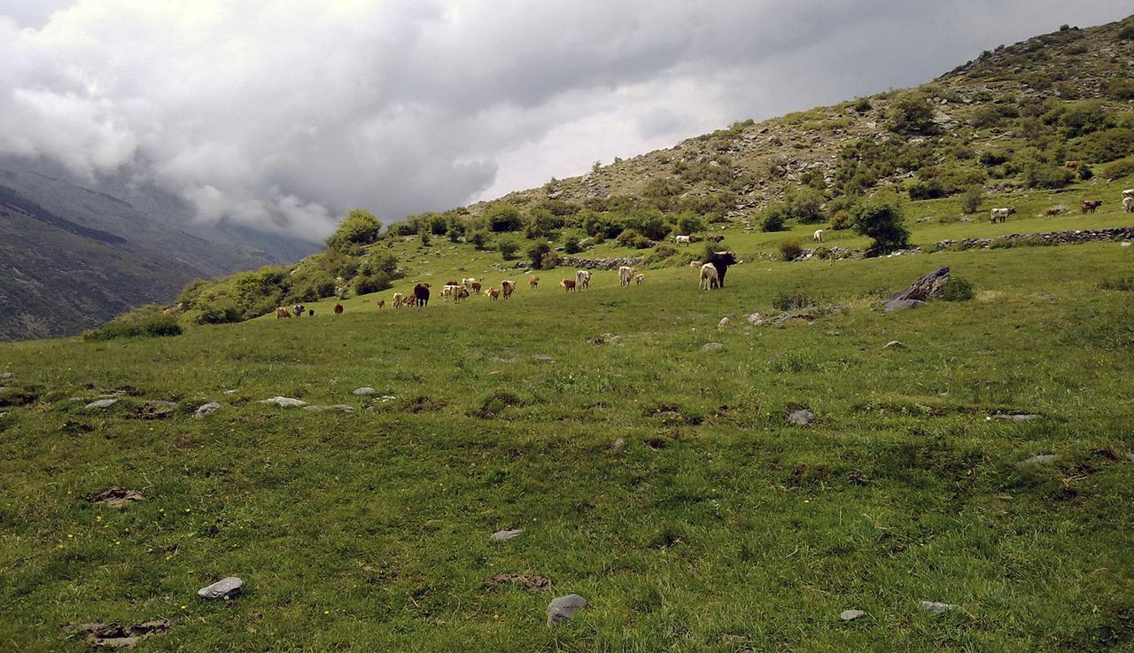 Bed and Breakfast Refugio Alpujarra Alta Тревелес Екстер'єр фото
