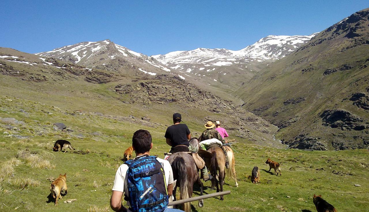 Bed and Breakfast Refugio Alpujarra Alta Тревелес Екстер'єр фото