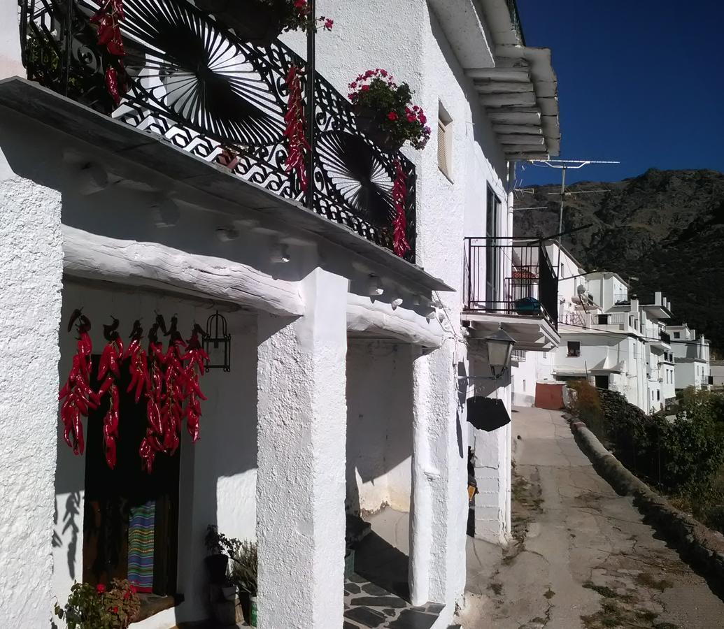Bed and Breakfast Refugio Alpujarra Alta Тревелес Екстер'єр фото