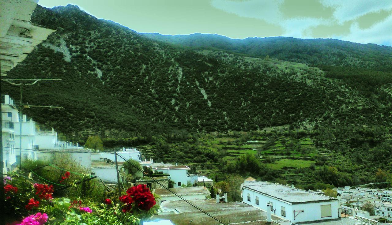 Bed and Breakfast Refugio Alpujarra Alta Тревелес Екстер'єр фото